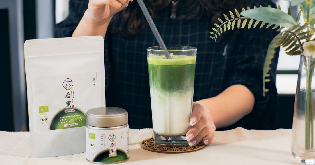 How WAKABA Selects Matcha for Wholesale Customers