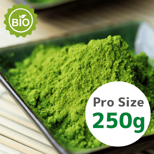 WAKABA biologische Premium Matcha 250 g – Voor cafés en matcha lattes
