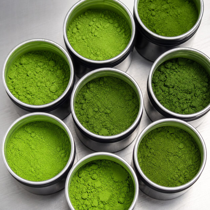 Verschiedene Matcha-Proben in unterschiedlichen Farbtönen
